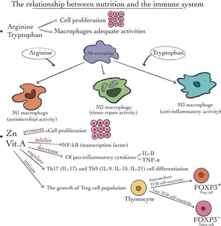 A Journey Of Genetics, Nutrition, And Health