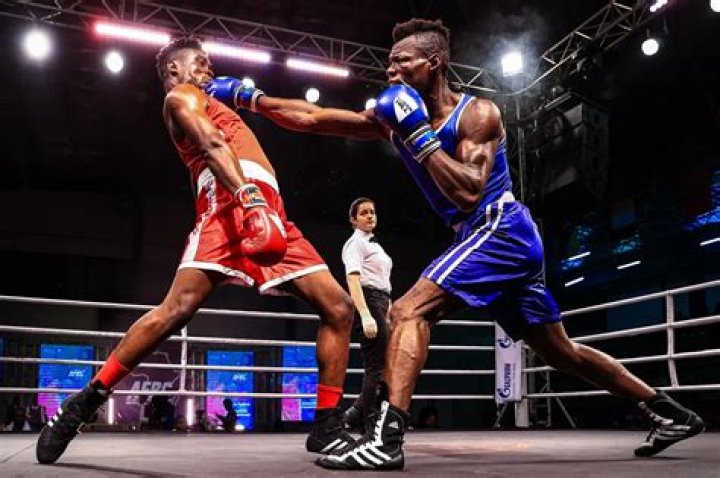 Discover South Africa's Boxing Elite