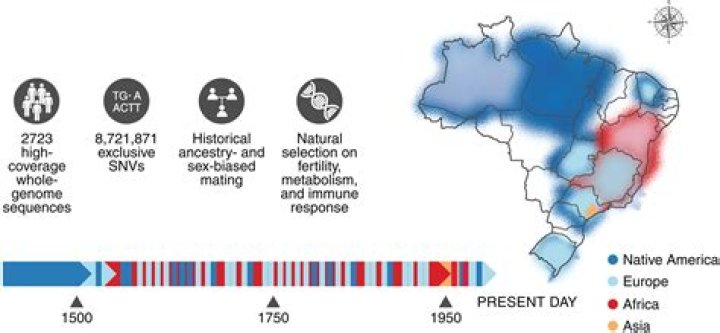 Discoveries And Insights Into "Baby Alien 1111"