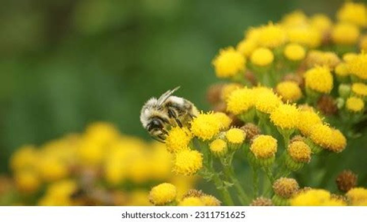 Surprising Discoveries And Intimate Glimpses