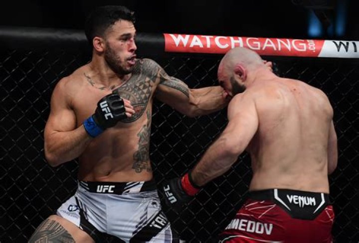 Unveiling Brad Tavares' Net Worth: Discoveries And Insights