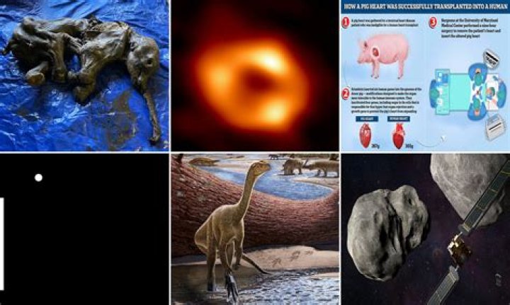 Unveiling Don Henley's Health Struggles: Discoveries And Insights