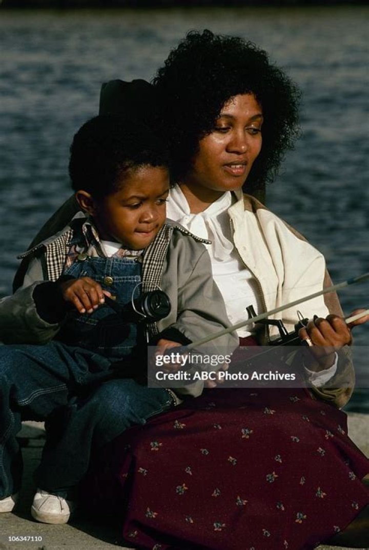 Unveiling The Age Of Emmanuel Lewis: Groundbreaking Role On "Webster"