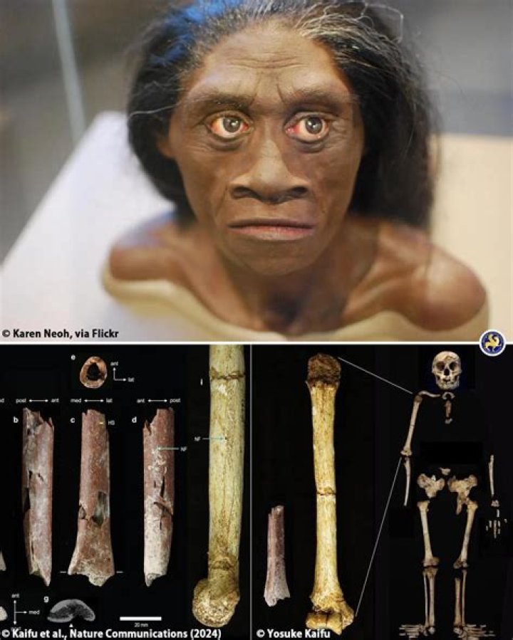 Unveiling Tony Robbins' Stature: Discoveries And Insights